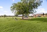 6619 Lantana Sun - Photo 48