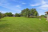 16807 Delana Ave - Photo 28