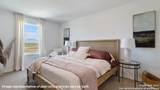 10604 Rainbow Forest - Photo 29