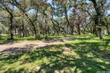 10294 Park Road 37 - Photo 47