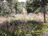 TBD Twisted Oak Trail - Photo 1