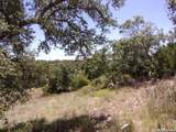 TBD Twisted Oak Trail - Photo 11