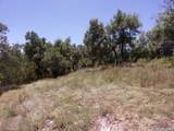 TBD Twisted Oak Trail - Photo 12