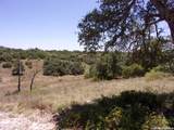 TBD Twisted Oak Trail - Photo 2