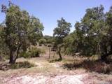 TBD Twisted Oak Trail - Photo 3
