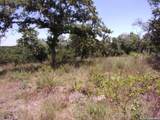 TBD Twisted Oak Trail - Photo 4