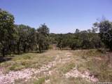 TBD Twisted Oak Trail - Photo 5