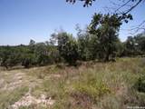 TBD Twisted Oak Trail - Photo 6