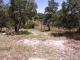 TBD Twisted Oak Trail - Photo 7