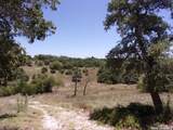 TBD Twisted Oak Trail - Photo 8