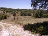 TBD Twisted Oak Trail - Photo 9