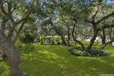 30720 Smithson Valley Rd - Photo 29