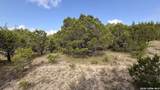 1076 Trail Pass - Photo 3