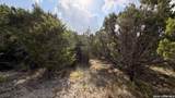 1076 Trail Pass - Photo 4