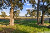 539 Clay Ridge - Photo 10