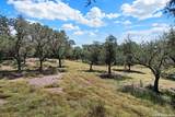 539 Clay Ridge - Photo 30