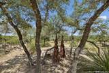 28155 Boerne Stage Rd - Photo 45