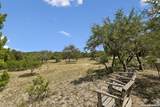 28155 Boerne Stage Rd - Photo 46