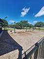 10643 Arabian Sands - Photo 29