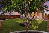 12415 Aurora Basin - Photo 32