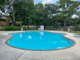 9380 Braun Rd 404D - Photo 29