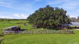 1250 County Road 304 - Photo 42