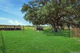 1250 County Road 304 - Photo 43