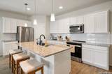 4047 Wild Bloom Rd - Photo 14
