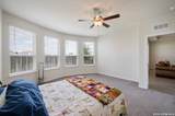 4047 Wild Bloom Rd - Photo 20