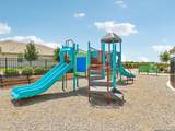 11353 Feather Vale - Photo 18