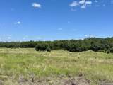 TBD-LOT 7 Sisterdale Road - Photo 11