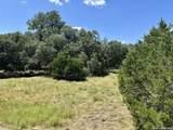 TBD-LOT 7 Sisterdale Road - Photo 12