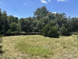 TBD-LOT 7 Sisterdale Road - Photo 14