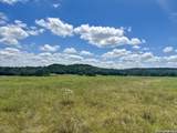 TBD-LOT 7 Sisterdale Road - Photo 18