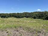 TBD-LOT 7 Sisterdale Road - Photo 4