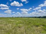 TBD-LOT 7 Sisterdale Road - Photo 8