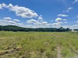 TBD-LOT 7 Sisterdale Road - Photo 9