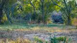 106 County Road 253 - Photo 43