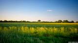 106 County Road 253 - Photo 45