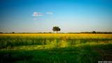 106 County Road 253 - Photo 46