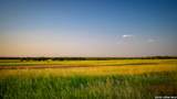 106 County Road 253 - Photo 50