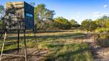 106 County Road 253 - Photo 8