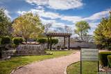 920 Gruene Spg - Photo 44