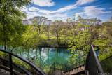 920 Gruene Spg - Photo 46