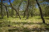 156 Deep Woods Dr - Photo 43