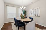820 Alpino - Photo 8