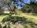 39 Jim Dalrymple Dr - Photo 11