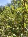 39 Jim Dalrymple Dr - Photo 16