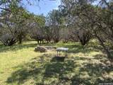 39 Jim Dalrymple Dr - Photo 3
