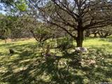 39 Jim Dalrymple Dr - Photo 7